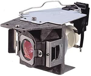 BenQ 5J.J9H05.001 Projector Lamp with Housing