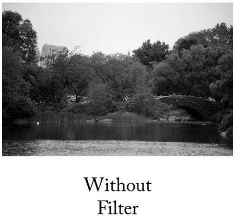 Hoya 0650 49mm HMC Yellow Filter