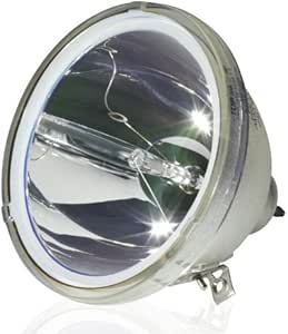 LG RT-52SZ60DB Rear Projection TV Philips Bulb