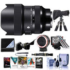 Sigma 14-24mm f/2.8 DG DN Art Lens Sony E