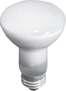 GE 18279 45-Watt R20 Soft White Flood Light Bulb