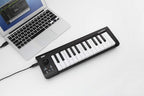 Korg MICROKEY25 USB MIDI Keyboard Controller