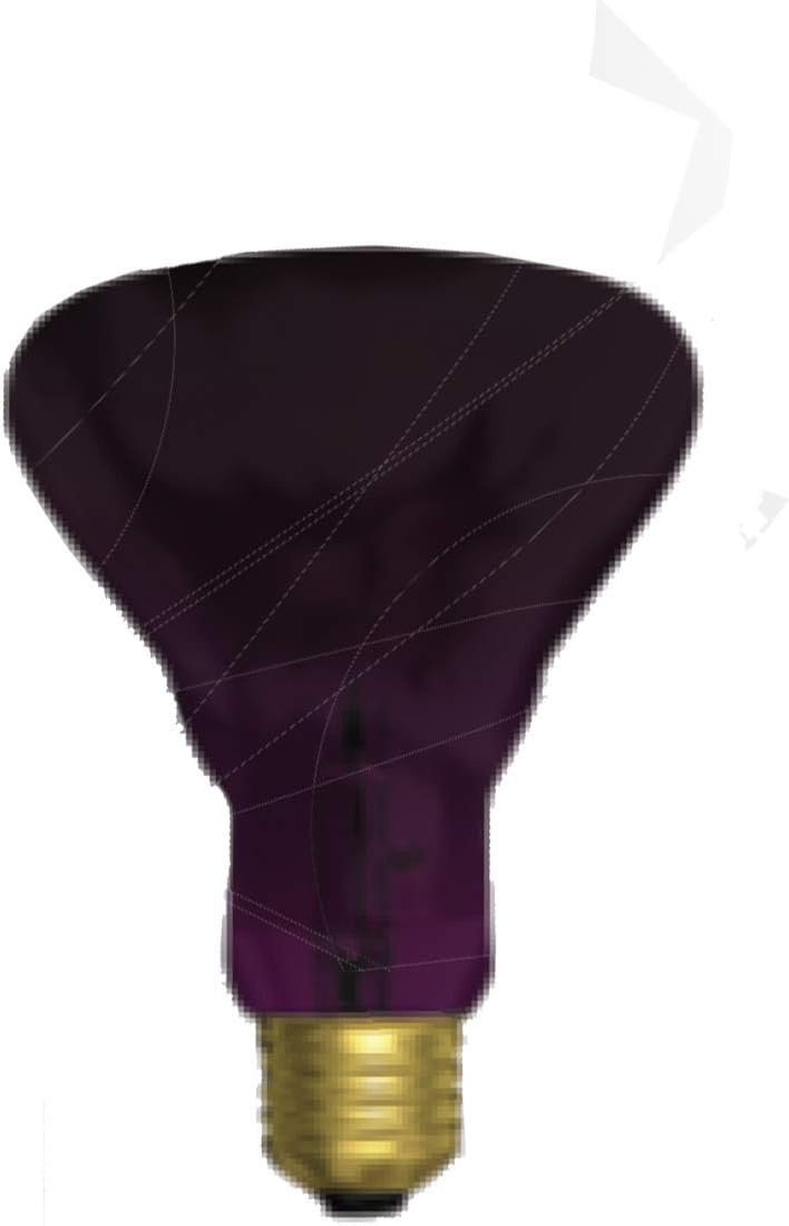 GE 22748 75-Watt R30 Black Light Flood Bulb