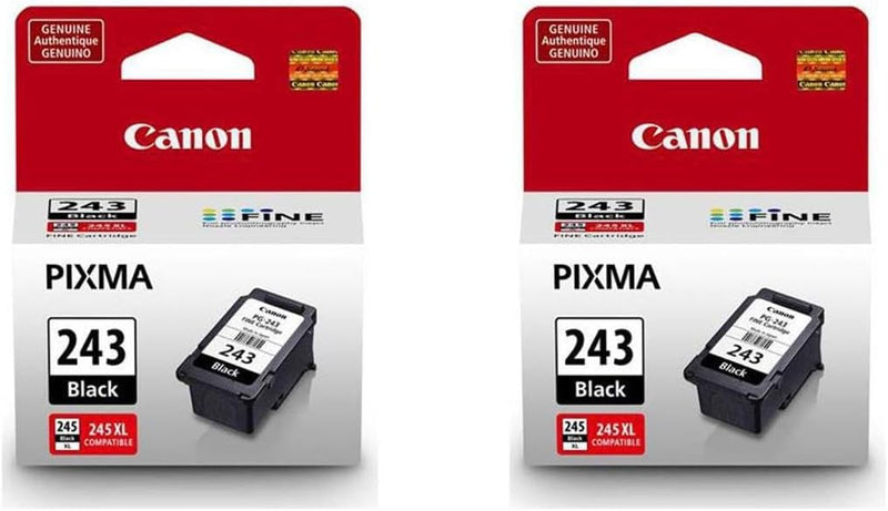 Canon 243 Black Ink Cartridge 2-Pack — main product image