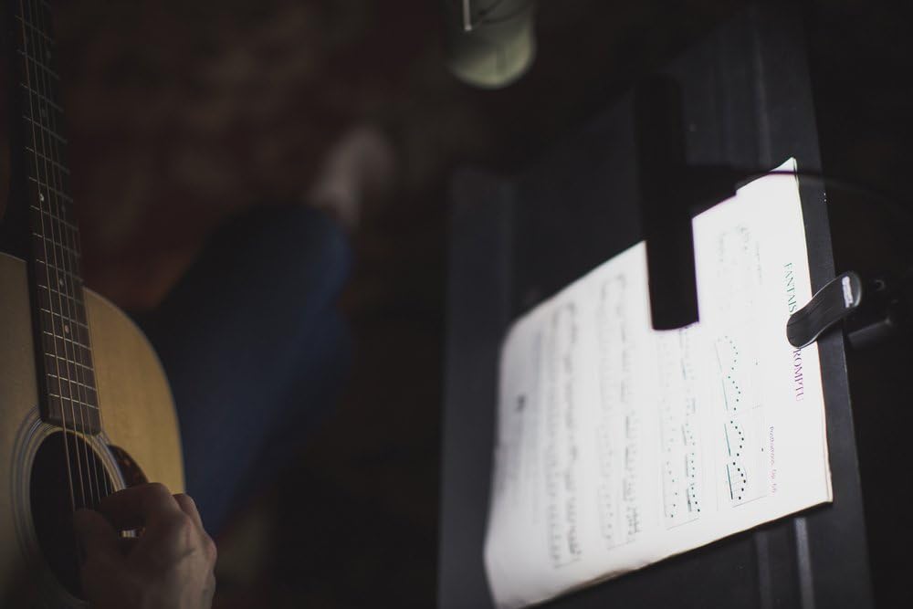 Mighty Bright 54910 Encore Music Stand LED Light