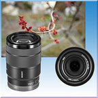 Sony Alpha a6400 Mirrorless Camera with 18-135mm Lens Bundle