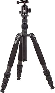 Sirui T-2204SK/G-20X Traveler Carbon Tripod with Ball Head