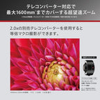Panasonic H-RSA100400 100-400mm F4.0-6.3 Micro Four Thirds Lens