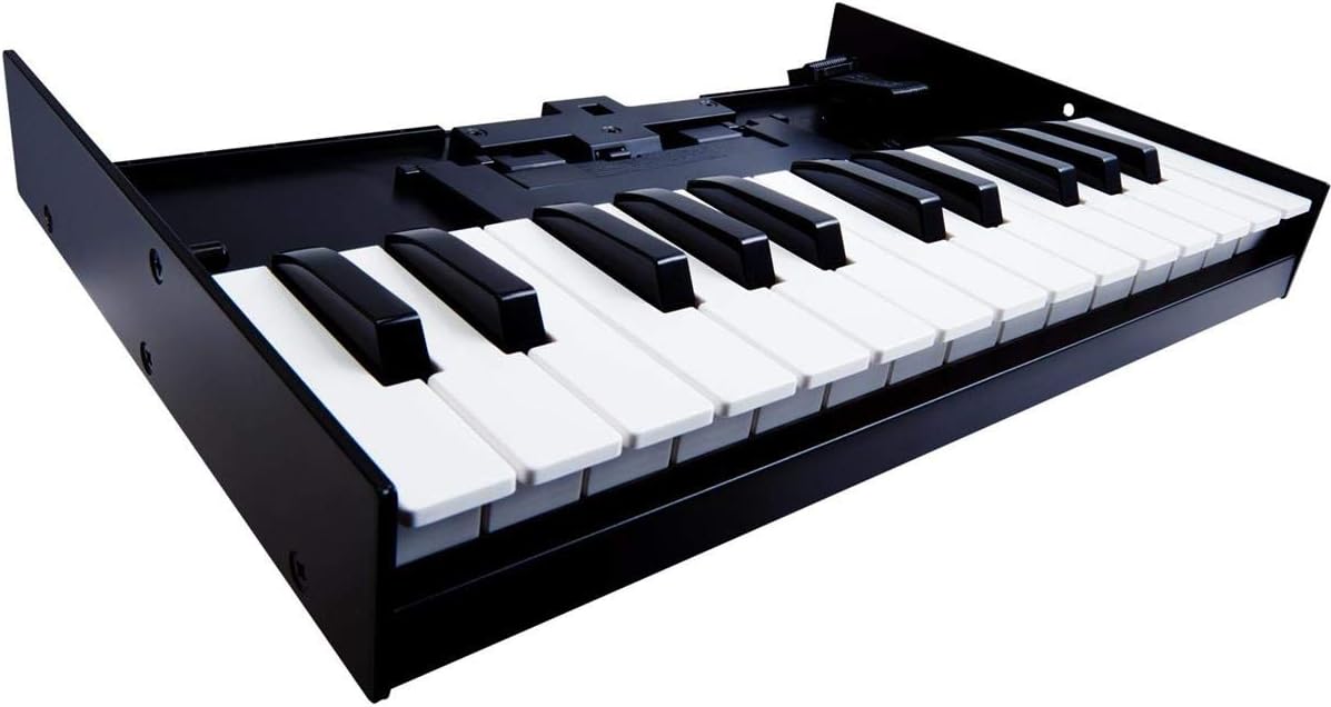 Roland K-25M Boutique Module Dock USB MIDI Keyboard