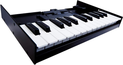 Roland K-25M Boutique Module Dock USB MIDI Keyboard