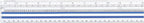 Westcott 14125 Magnifying Ruler - 12-Inch Clear Data Ruler