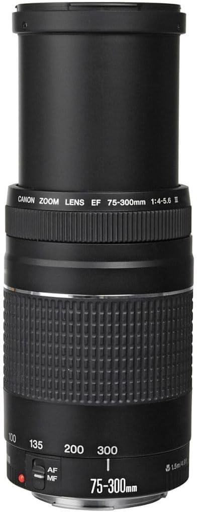Canon 6473A003AA EF 75-300mm Zoom Lens (Renewed)