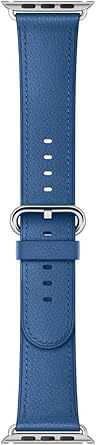 Apple Classic Buckle 42mm Watch Band Sea Blue