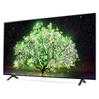 LG E22LGOLED55A1PUA 55