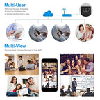 NJJOWRQ 720P Mini WiFi IP Camera with Remote Viewing
