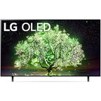 LG E22LGOLED55A1PUA 55