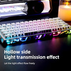 Ladybug Hot-Swappable 60% Mechanical Gaming Keyboard
