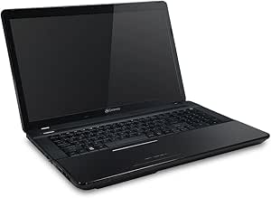 Acer BDNE72219-BDH E2-3800 17.3" Windows 8.1 Laptop