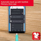 SanDisk SDDDC3-128G Ultra Dual Drive Go USB-C 128GB Flash Drive