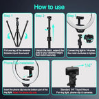 UBeesize 14-Inch Foldable LED Ring Light with 62-Inch Tripod