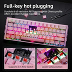Ladybug Hot-Swappable 60% Mechanical Gaming Keyboard