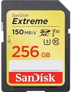 SanDisk 256GB Extreme SDXC UHS-I Memory Card (Renewed)