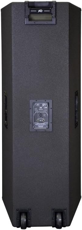 Peavey SP 4BX Passive Speaker Dual 15" Black Widow Woofers