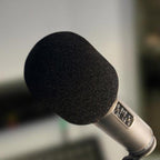 Rode WS2 Microphone Wind Shield Pop Filter