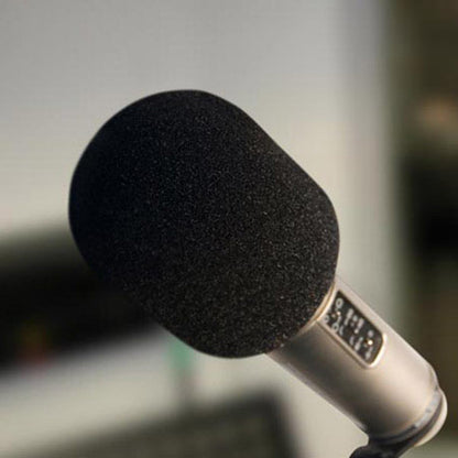 Rode WS2 Microphone Wind Shield Pop Filter