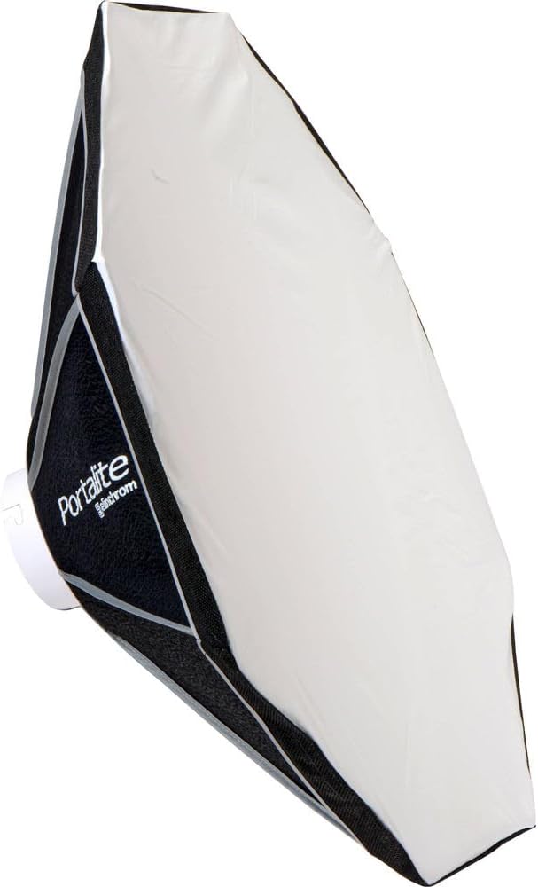 Elinchrom EL20839.2 D-Lite RX 4/4 To Go Studio Flash Kit