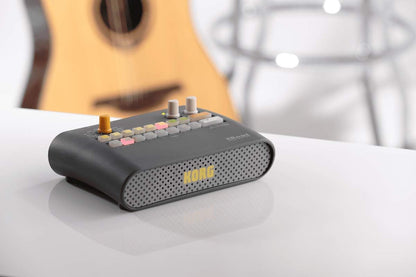 Korg 049910 Portable Keyboard Rhythm Machine