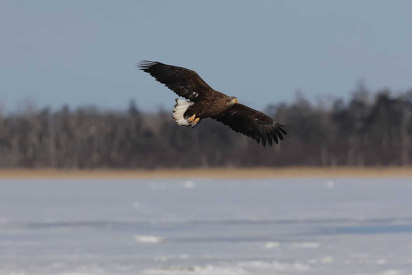 Canon 5137C009AA EOS R7 Mirrorless Camera with 18-150mm Lens