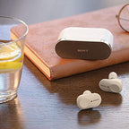 Sony E10SNWF1000XM3S WF-1000XM3 Wireless Earbuds Bundle