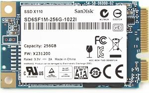 SanDisk SD6SF1M-256G-1022I X110 256GB mSATA SSD — main product image