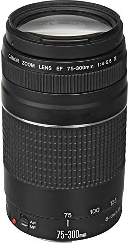 Canon 6473A003AA EF 75-300mm Zoom Lens (Renewed)