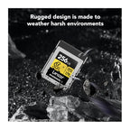 Lexar 256GB Professional Gold CFexpress 4.0 Type B Card