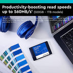 Western Digital WDS100T1B0A Blue 1TB Internal SSD