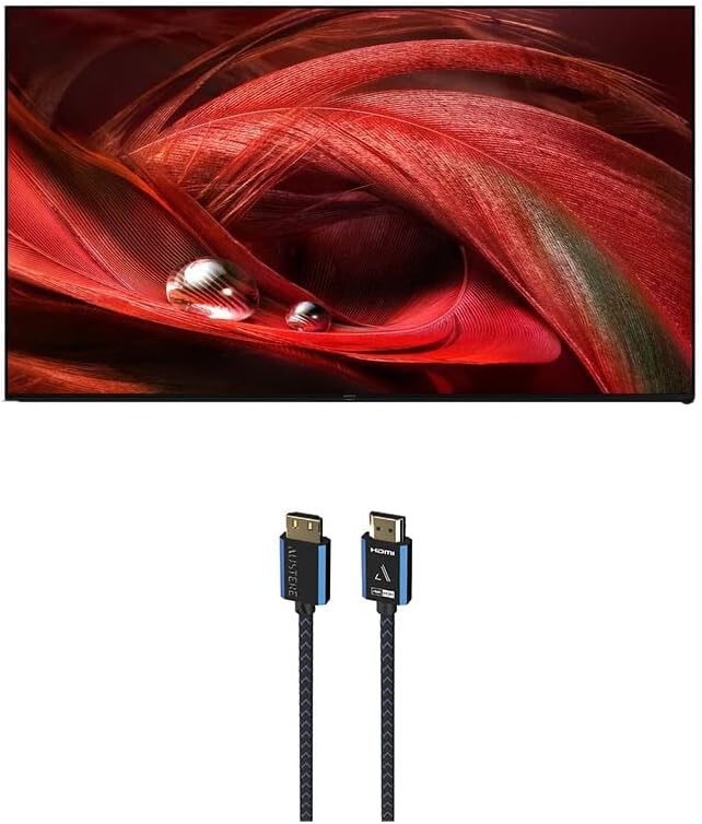 Sony XR65X95J 65