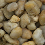 MSI AMZ-LSC-0008P Niagara Polished Yellow Decorative Pebbles 40lb