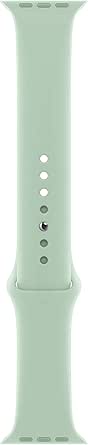 Apple Sport Band 40mm Beryl Regular Watch