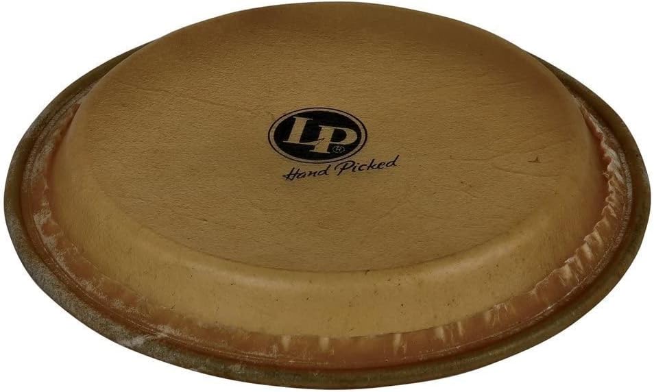 Latin Percussion LP266B 9-Inch Jr. Conga Head