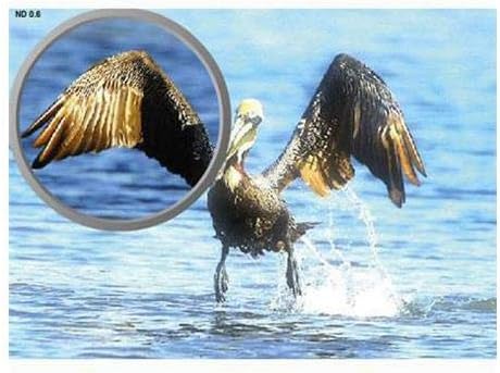 Tiffen 77mm Neutral Density 0.3 Camera Filter