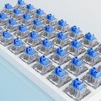 Zhouwang Outemu Crystal Blue Clicky Mechanical Keyboard Switches