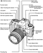 Canon EOS Rebel 2000 35mm Film SLR Camera (Renewed)