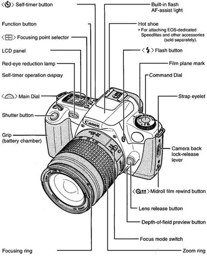 Canon EOS Rebel 2000 35mm Film SLR Camera (Renewed)