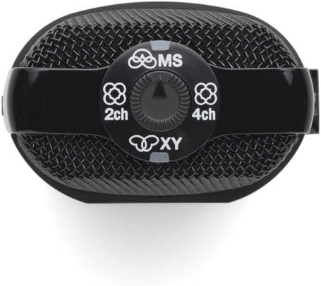 Zoom 1236 H2n Handy Portable Recorder