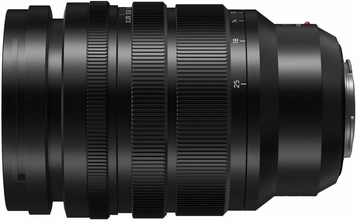 Panasonic H-X1025 Lumix 10-25mm f/1.7 Leica Lens