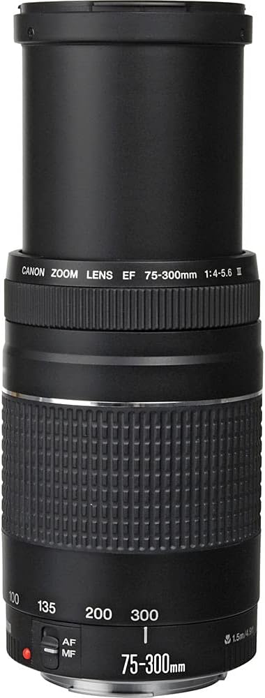 Canon BCAN6473A003-002 EF 75-300mm Lens Bundle