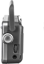 Panasonic 4330351473 RF-2400D AM/FM Portable Radio
