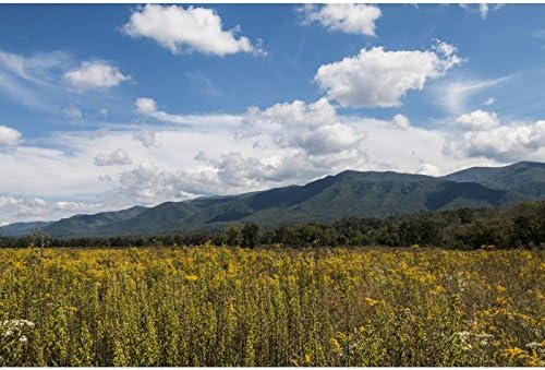 Sigma 210101 18-35mm F/1.8 DC HSM Lens Canon (Renewed)